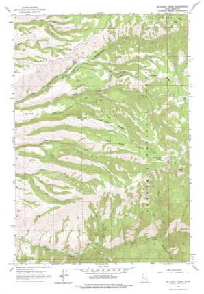 McKinzie Creek USGS topographic map 45116f2
