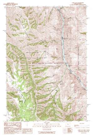 Lord Flat USGS topographic map 45116f5