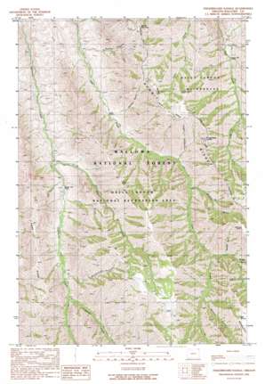 Fingerboard Saddle USGS topographic map 45116f6