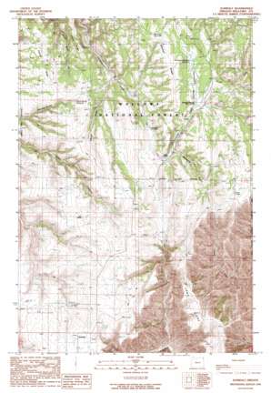 Deadhorse Ridge USGS topographic map 45116f8