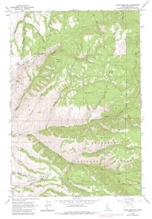 White Bird Hill USGS topographic map 45116g2