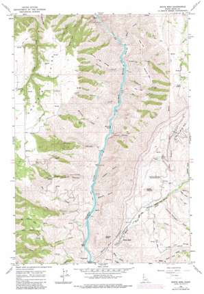 White Bird USGS topographic map 45116g3