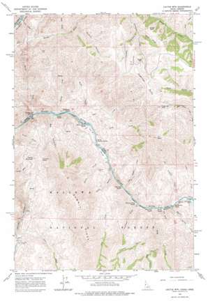 Cactus Mountain USGS topographic map 45116g6