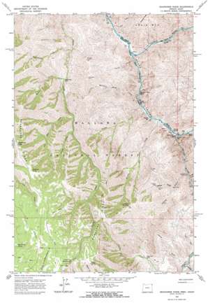 Deadhorse Ridge USGS topographic map 45116g7