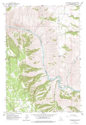 Moughmer Point USGS topographic map 45116h4