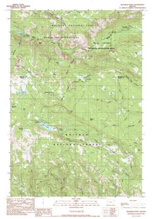 Deadman Point USGS topographic map 45117a1