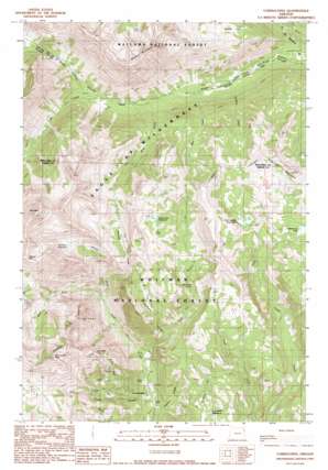 Cornucopia USGS topographic map 45117a2