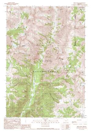Krag Peak USGS topographic map 45117a3