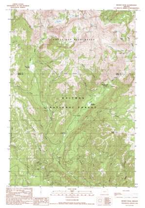 Bennet Peak USGS topographic map 45117a4