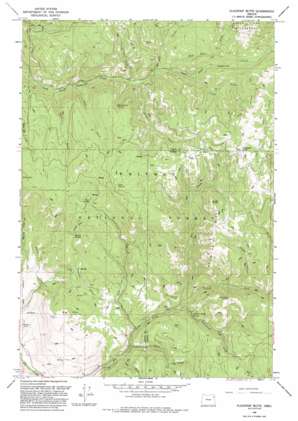 Flagstaff Butte topo map