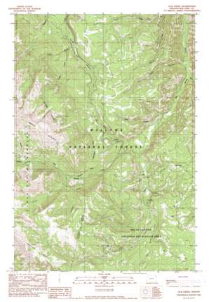 Lick Creek USGS topographic map 45117b1