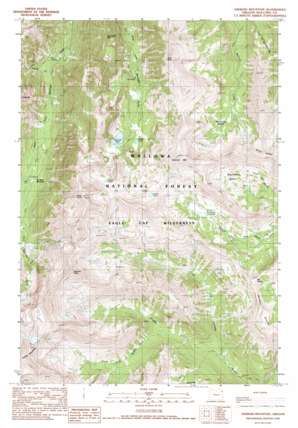 Aneroid Mountain USGS topographic map 45117b2