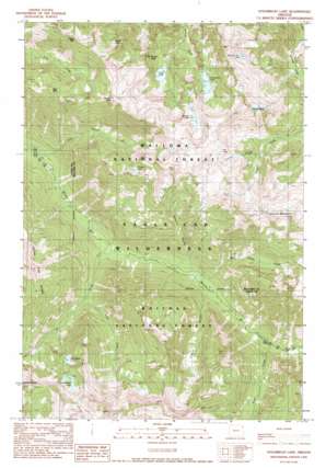 Steamboat Lake USGS topographic map 45117b4