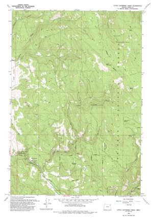 Little Catherine Creek USGS topographic map 45117b6