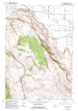 Craig Mountain USGS topographic map 45117b8