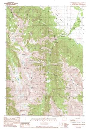 Chief Joseph Mountain USGS topographic map 45117c3
