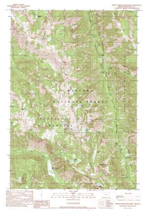 North Minam Meadows USGS topographic map 45117c4