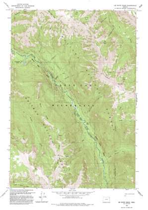 Jim White Ridge topo map