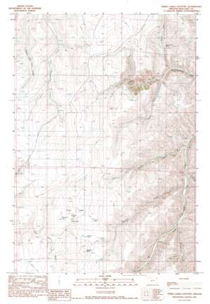 Three Lakes Country USGS topographic map 45117d1