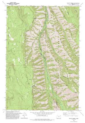 Mount Moriah USGS topographic map 45117d6