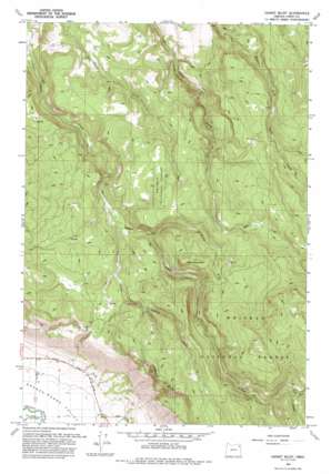 Gassett Bluff USGS topographic map 45117d7
