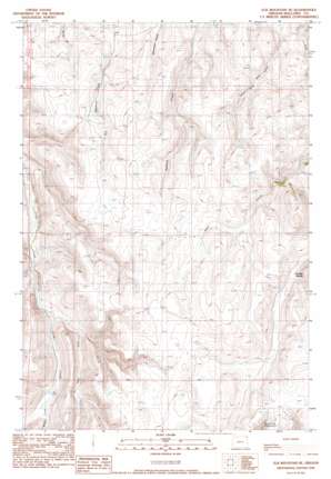 Elk Mountain SE USGS topographic map 45117e1