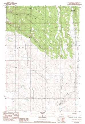 Hicks Spring USGS topographic map 45117e3