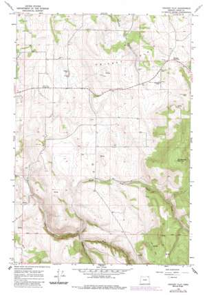 Cricket Flat USGS topographic map 45117e7