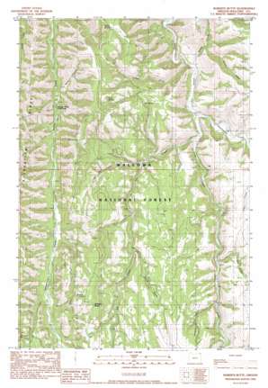 Starvation Ridge USGS topographic map 45117f2