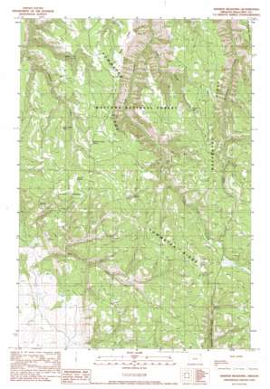 Washboard Ridge USGS topographic map 45117f4