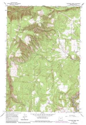 Partridge Creek USGS topographic map 45117f8