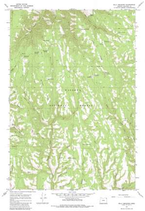 Billy Meadows USGS topographic map 45117g1