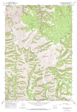 Table Mountain topo map