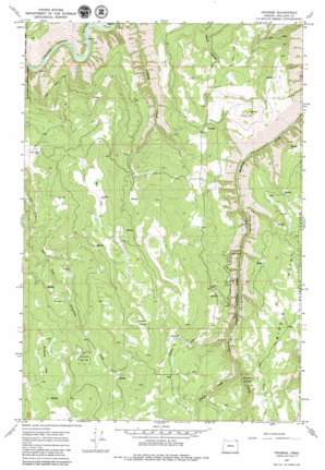Promise USGS topographic map 45117g5