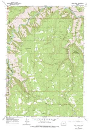 Deep Creek USGS topographic map 45117g6