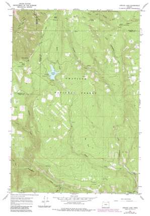 Jubilee Lake USGS topographic map 45117g8