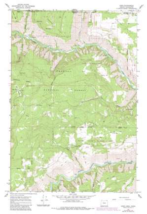 Diamond Peak USGS topographic map 45117h5
