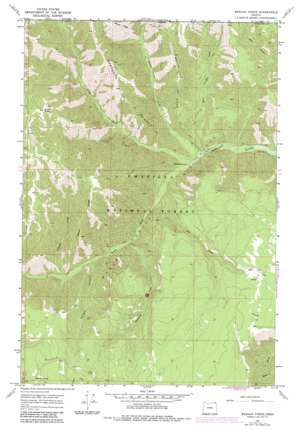 Wenaha Forks USGS topographic map 45117h7