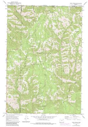 Bone Spring USGS topographic map 45117h8