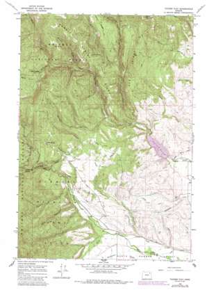 Pendleton USGS topographic map 45118a1