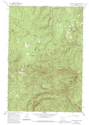 Anthony Butte topo map