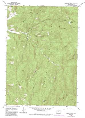 Limber Jim Creek USGS topographic map 45118a3