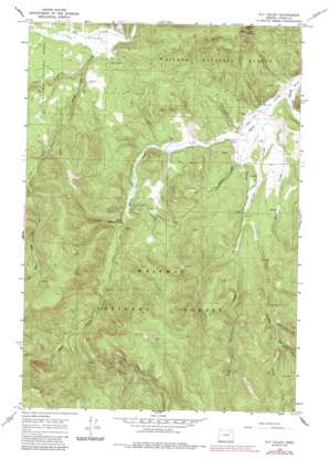 Fly Valley topo map
