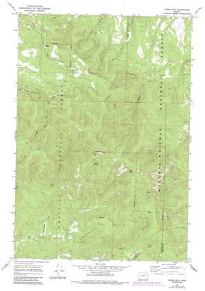 Tower Mountain USGS topographic map 45118a5