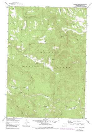 Pearson Ridge USGS topographic map 45118a6