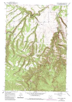 Marley Creek USGS topographic map 45118b4