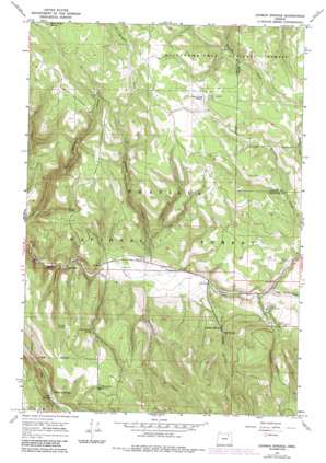 Lehman Springs USGS topographic map 45118b6