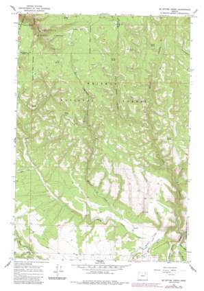 McIntyre Creek USGS topographic map 45118c4