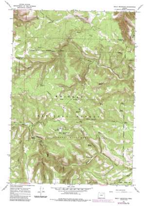 Bally Mountain USGS topographic map 45118c5