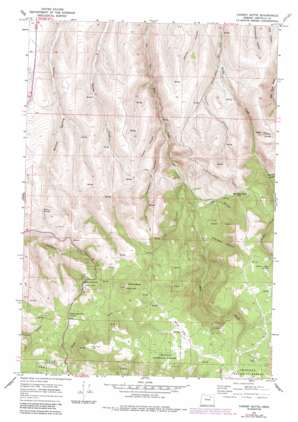 Carney Butte topo map